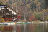 山王林道、照葉峡