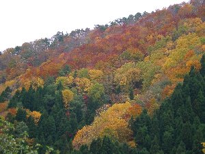 西吾妻、スカイバレー