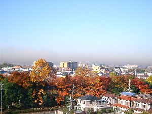 南流山中央公園全景
