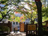 旧古河庭園　紅葉