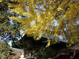殿ヶ谷庭園