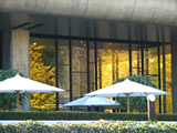 上野公園