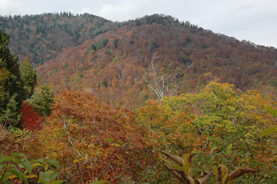 坤六峠