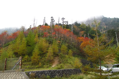 金精峠
