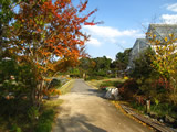 花ファンタジア