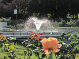 伊奈町町制公園