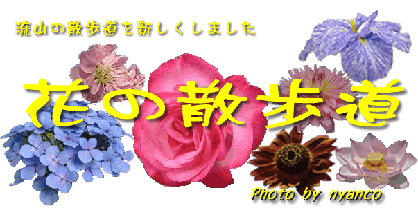 花の散歩道