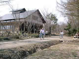 裏磐梯　野草園
