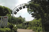 佐倉草笛の丘バラ園