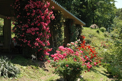 園内風景