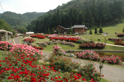 園内風景