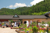 東沢