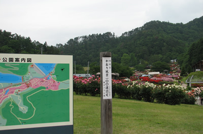 風景