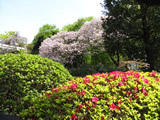 花と緑の振興センター