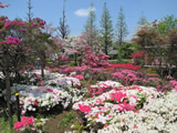平成つつじ園