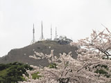函館公園