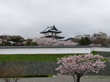 松前