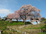 松前