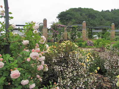 越後丘陵公園
