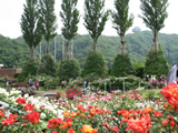 越後丘陵公園