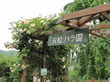 双松バラ園