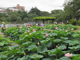 千葉公園