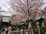 川口密蔵院