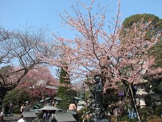 密蔵院