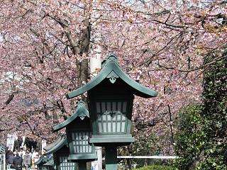 密蔵院