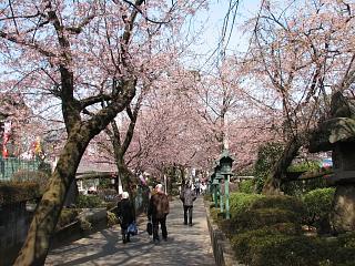 密蔵院