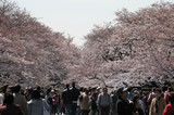 上野公園
