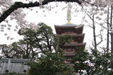 浅草・隅田川