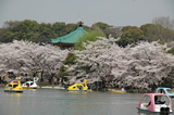 上野公園