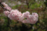 上野公園