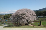 北信濃　高山村