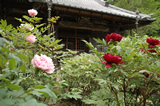 清水公園　慈光山金乗院