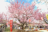 天平の丘公園