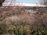 花と緑の振興センター