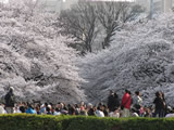 上野公園
