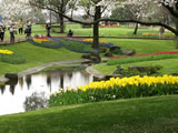 昭和記念公園