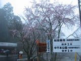 吉野山