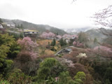 吉野山