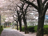 足立区都市農業公園