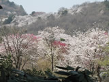 栃木　都賀町　２