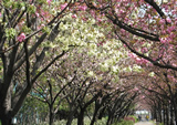 足立区都市農業公園2-2