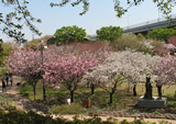 足立区都市農業公園2-1