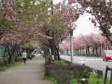 農業公園