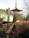 上野動物園
