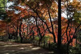 清水公園