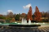武蔵丘陵森林公園